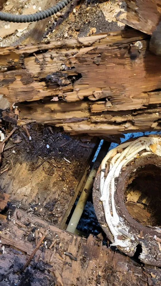 Expert electrical service for homes in electrical repair,  by 