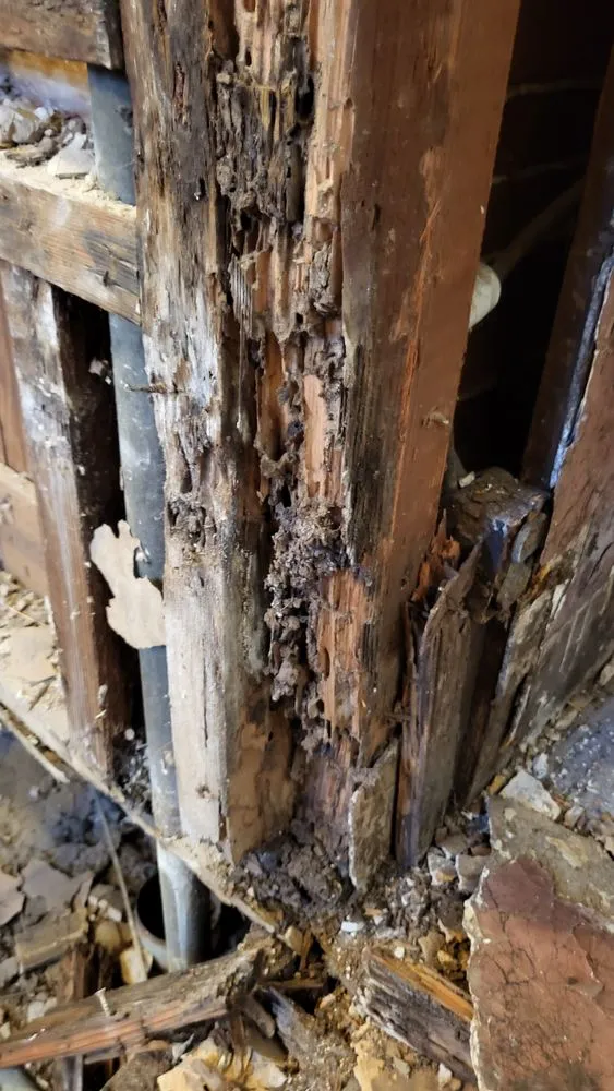 Slide of Handyman Frank and Son