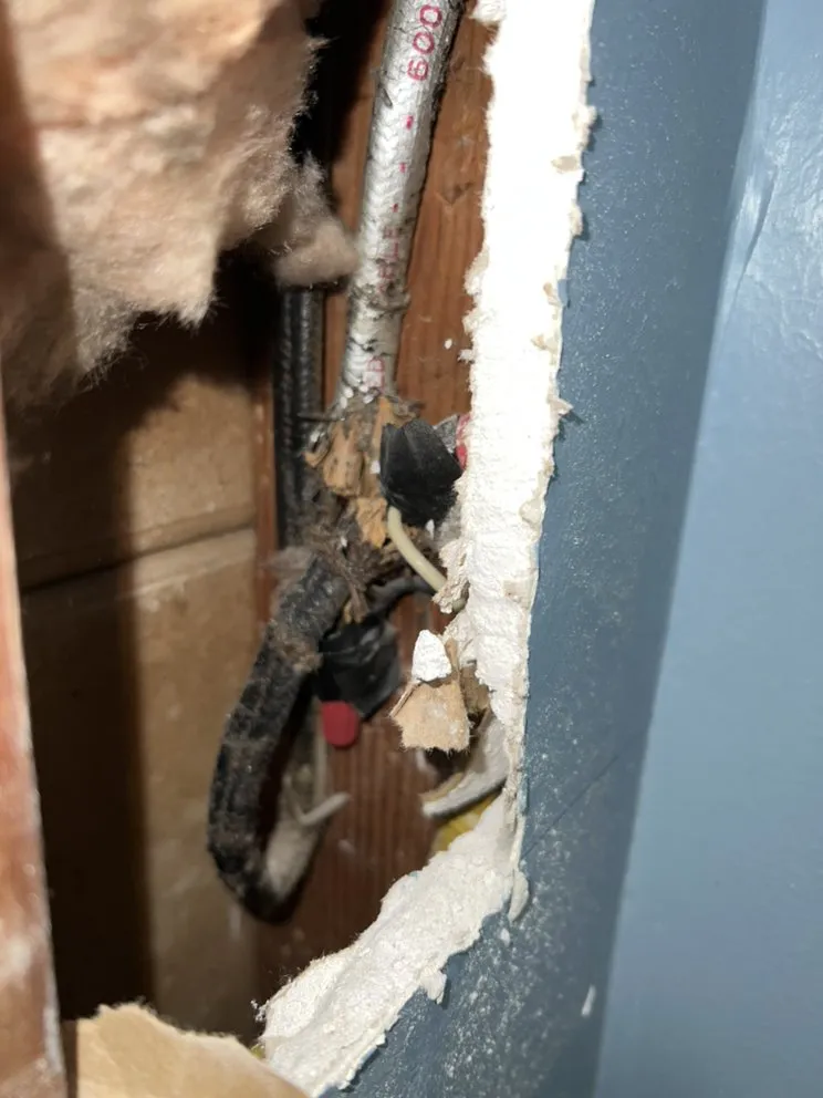 Slide of Handyman Jim