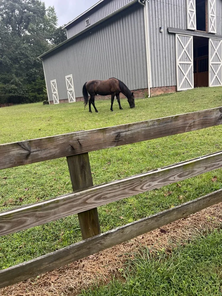 Slide of Handyman Mick