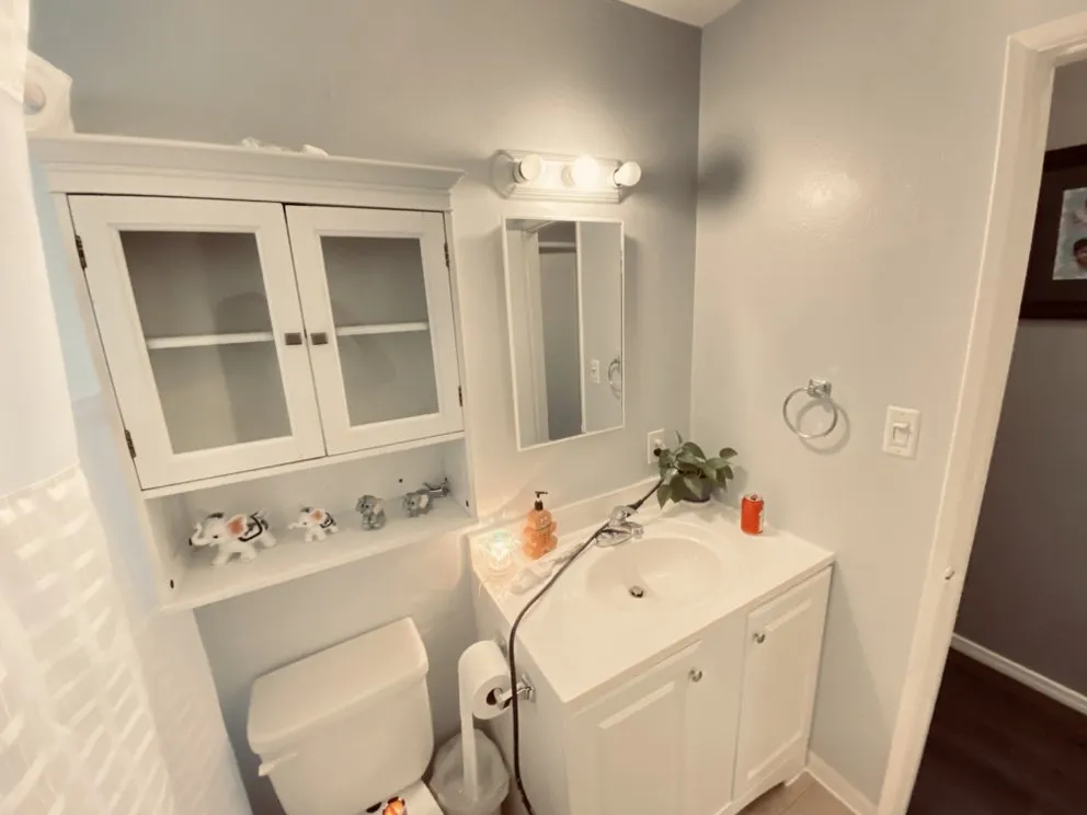 Slide of Handyman Painting Orange County