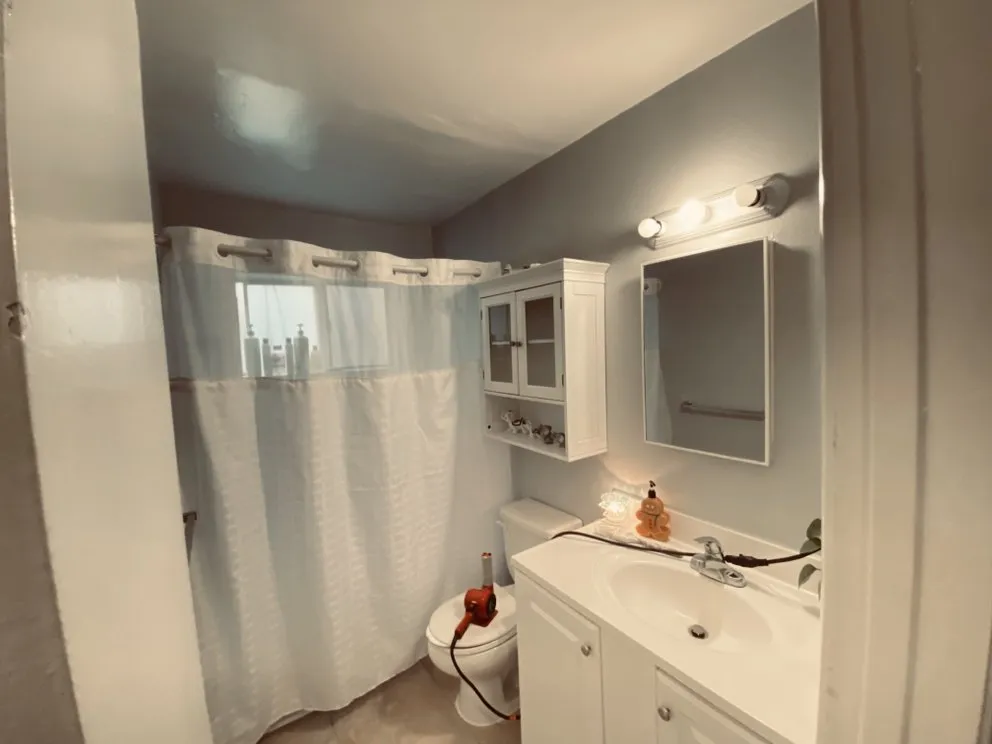 Slide of Handyman Painting Orange County