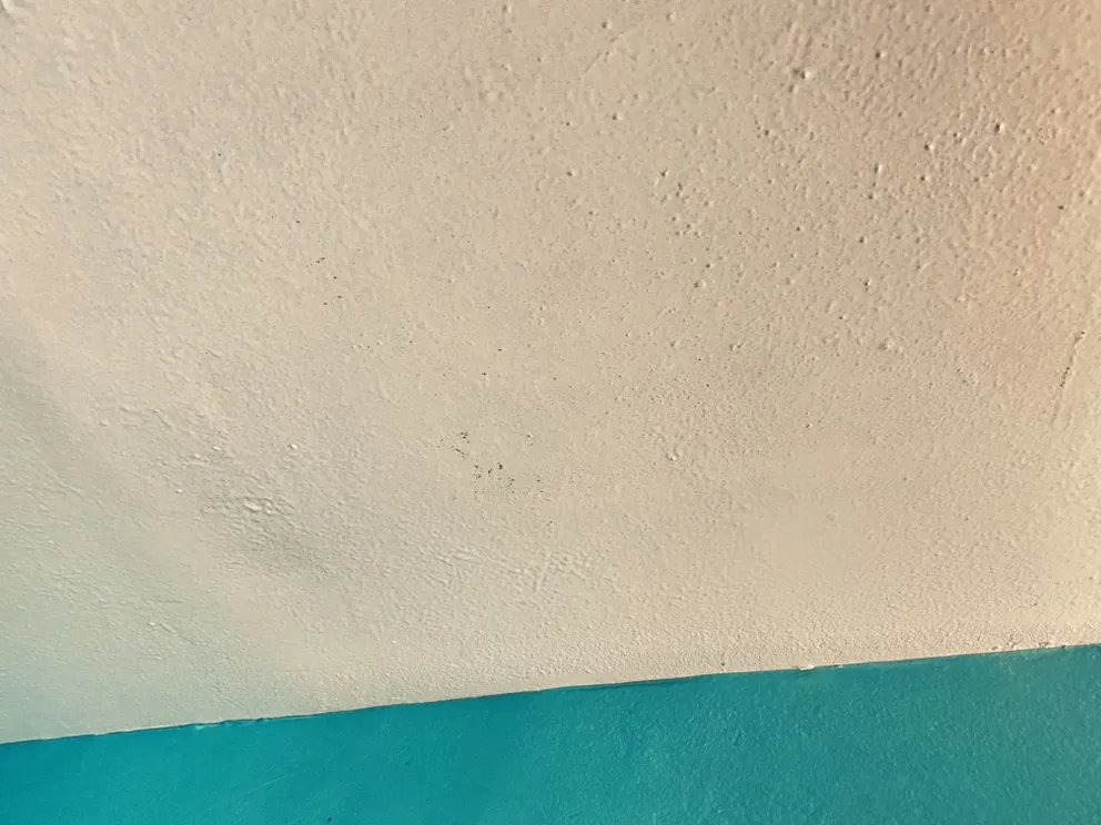 Slide of Handyman Painting Orange County