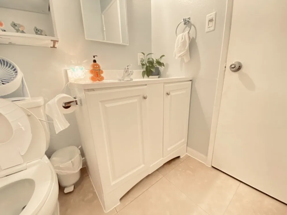 Slide of Handyman Painting Orange County