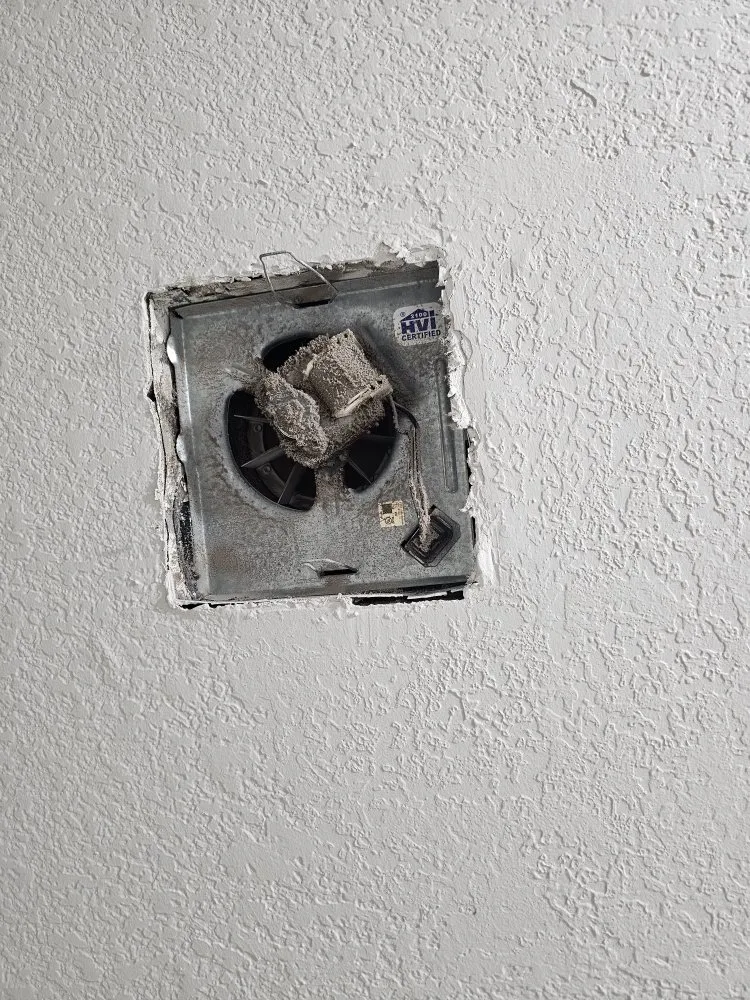 Slide of Handyman Plus