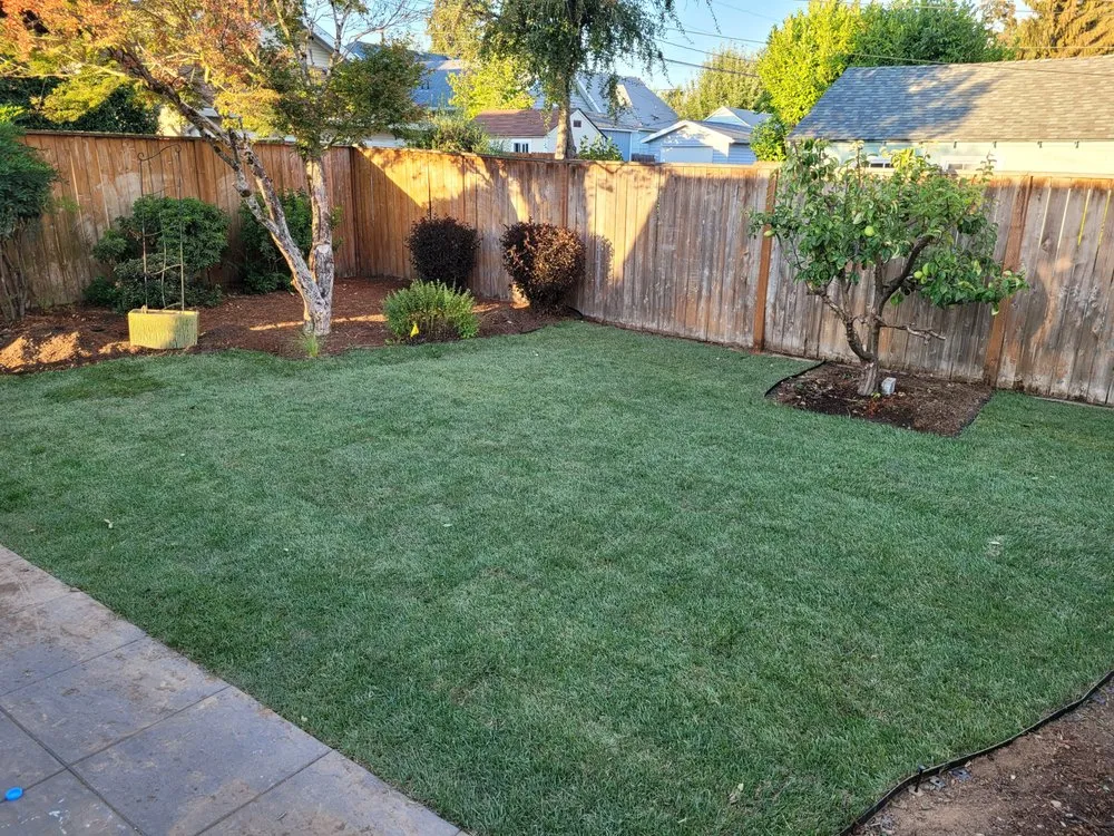 Slide of Handyman Rick