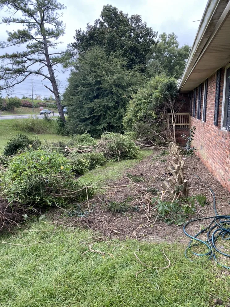 Slide of Handyman Ross