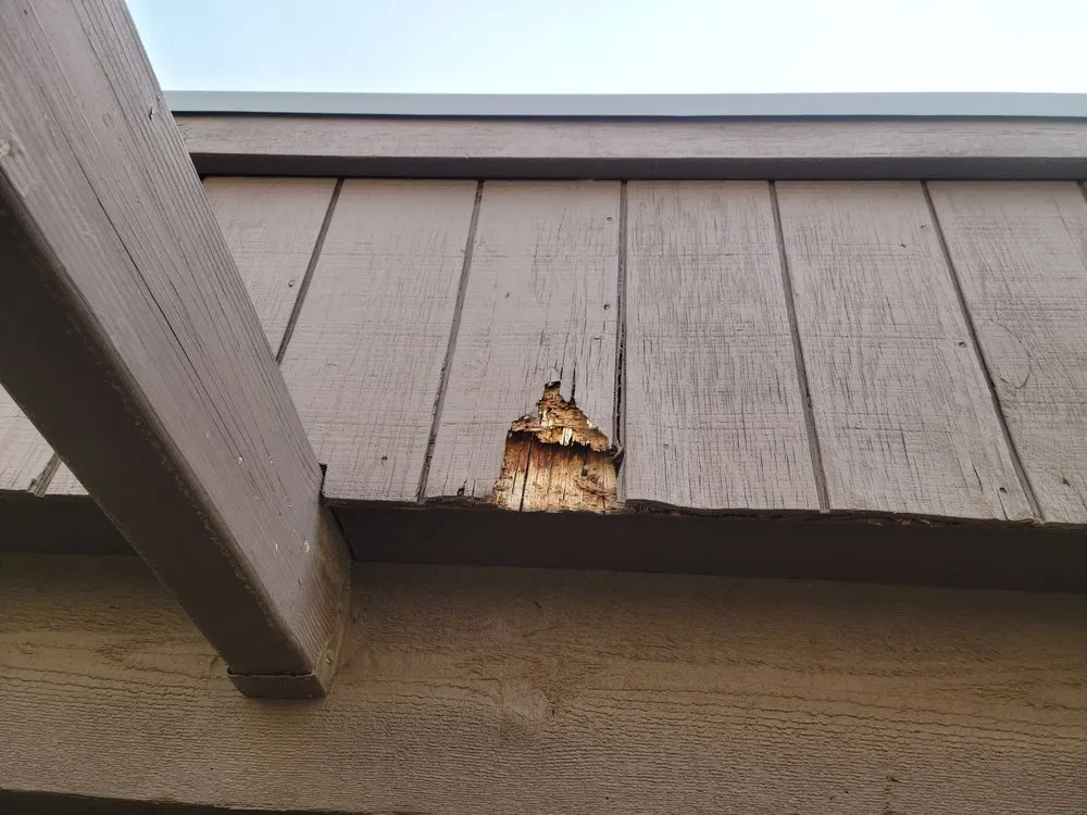 Slide of Handyman The Quality