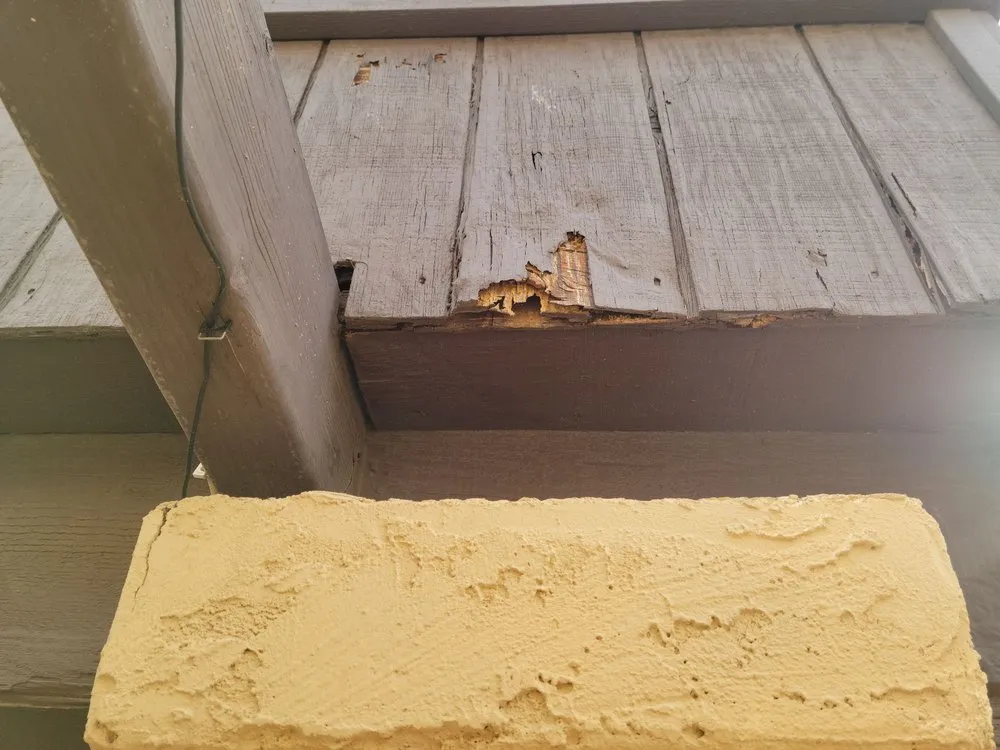 Slide of Handyman The Quality