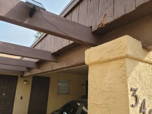 Handyman The Quality Logo