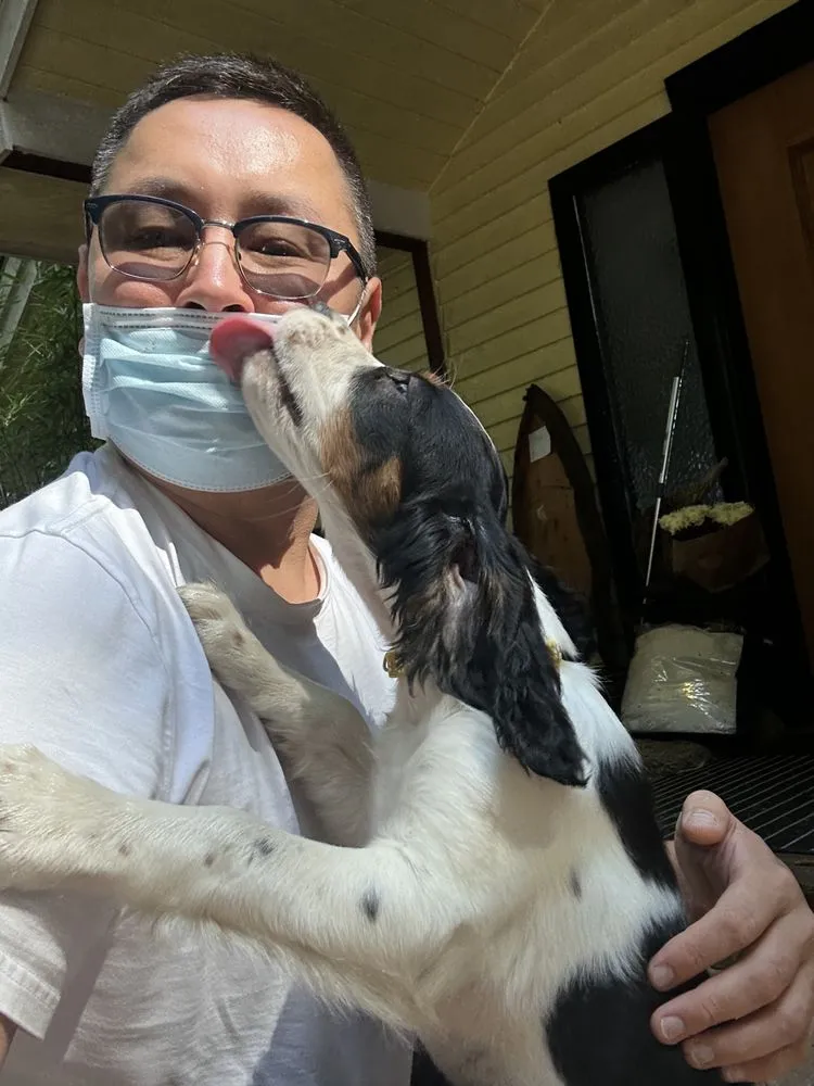 Slide of Handyman YKT