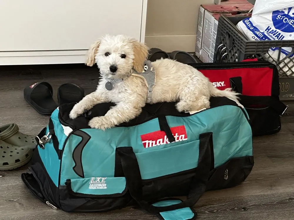 Slide of Handyman YKT