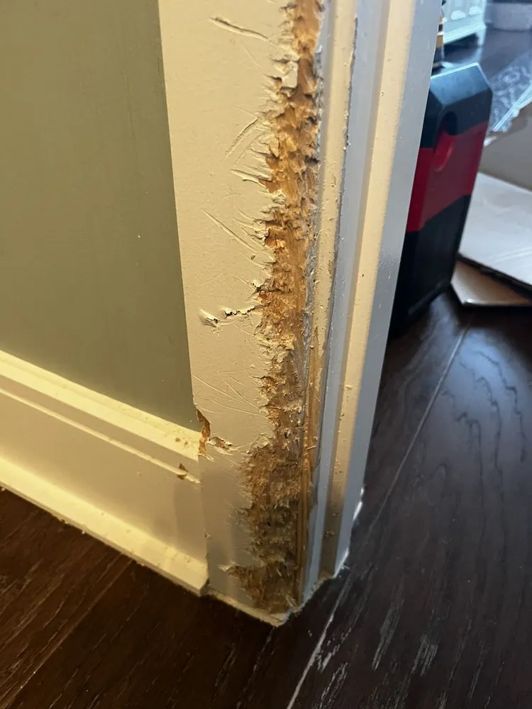 Slide of Handymannie