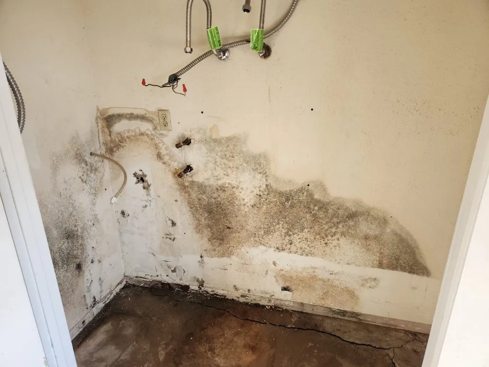 Slide of Harley's and Hammer's