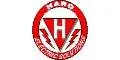 Slide of Haro Electric Solutions