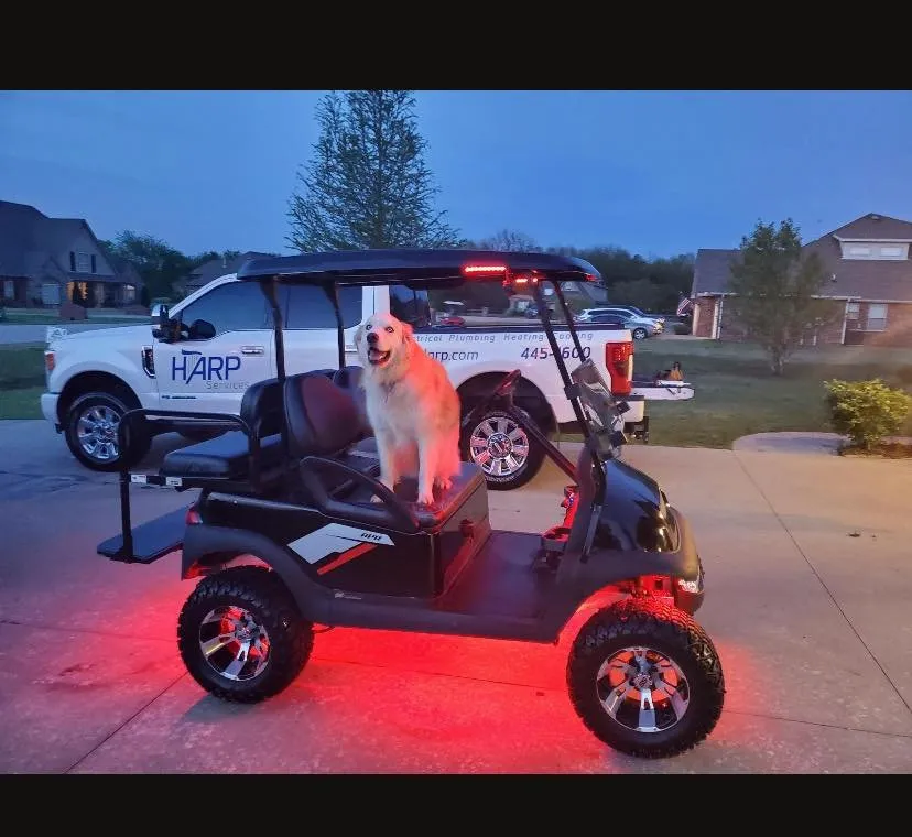 Slide of Harp Services