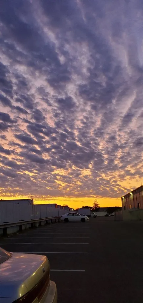 Slide of Harreld's Hi-Voltage