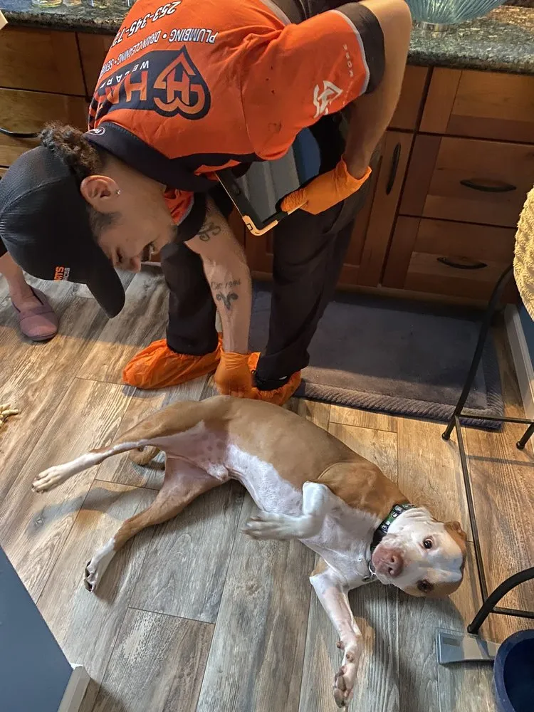 Affordable electrical service for homes in panel upgrade,  by 