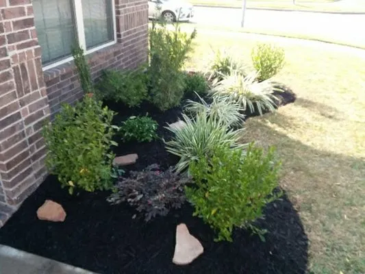 Hastings Curb Appeal