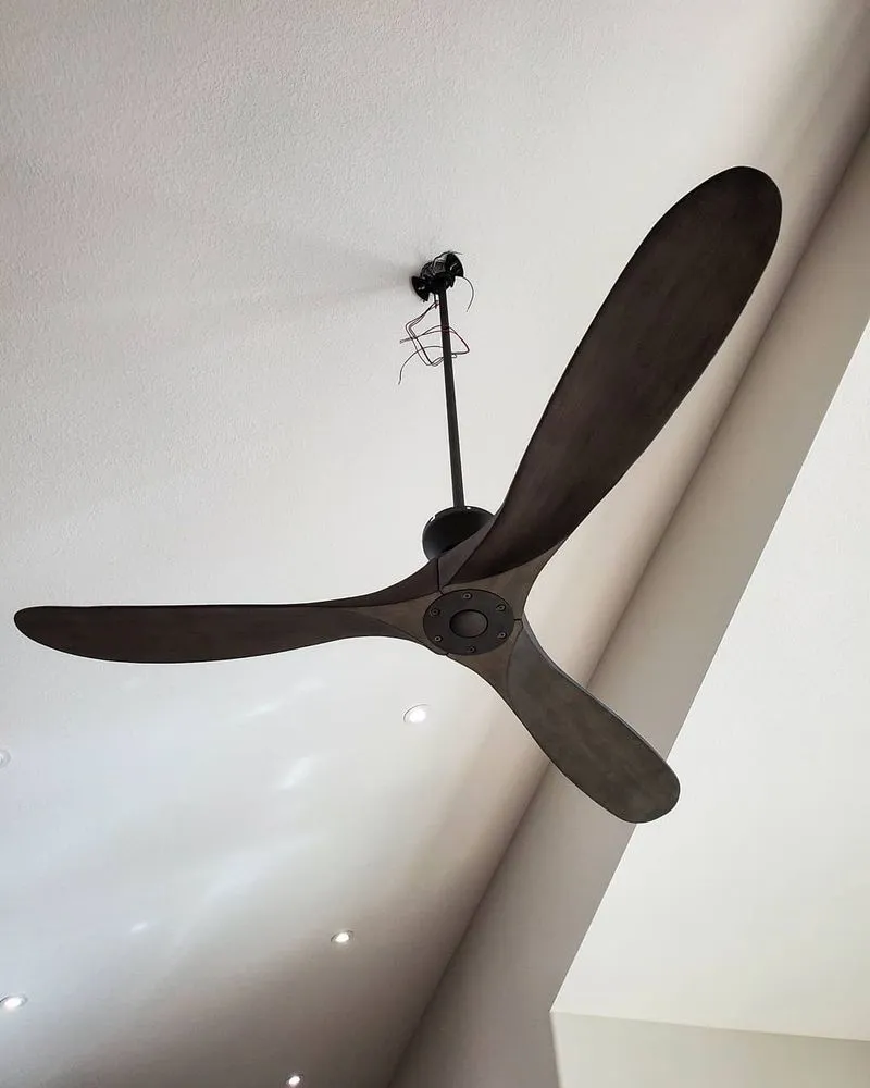 Slide of Havemeyer Electric