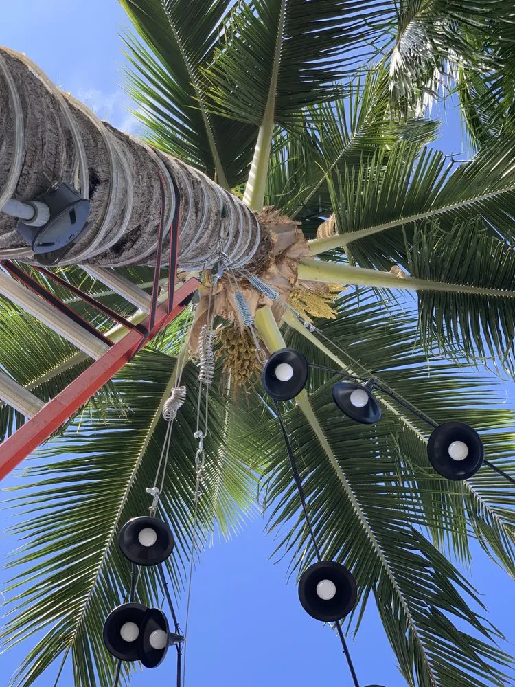 Affordable electrician providing panel upgrade in Puunene, HI - Hawaii Electrical Solutions