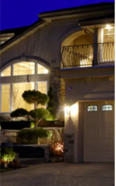 Slide of Hawe's Electric