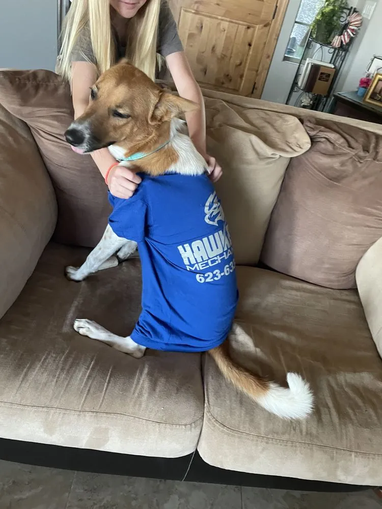 Slide of Hawkeye Mechanical