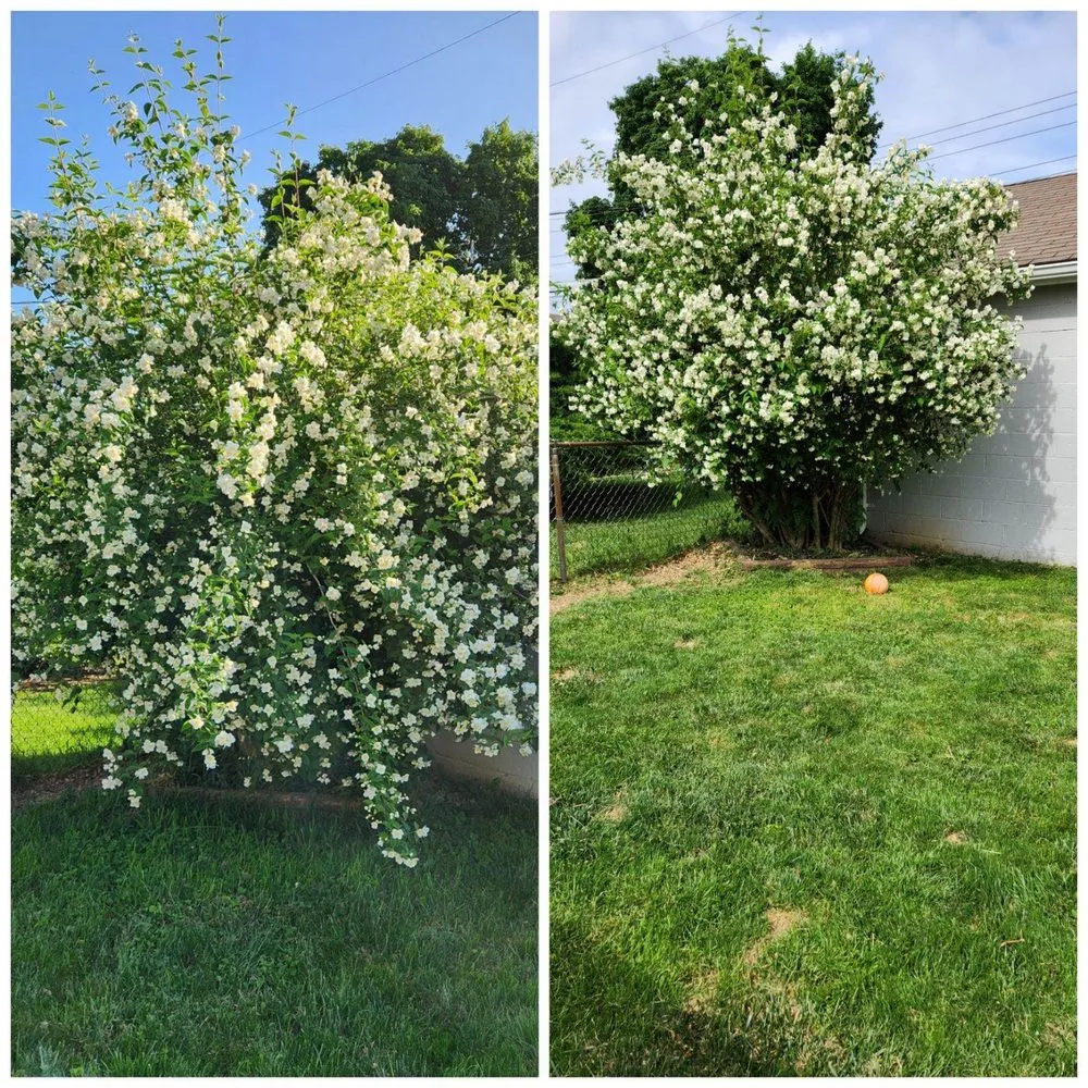 Slide of Haystax Handyman Services