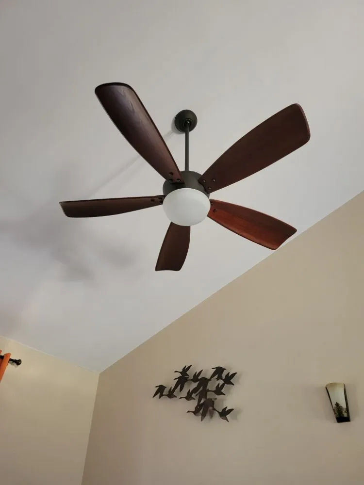 Slide of Hazelwood Electric