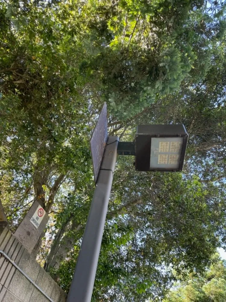 Slide of HD Electric 831