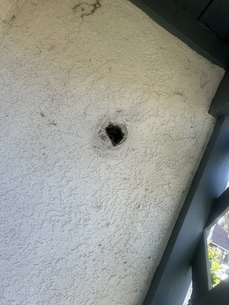 Slide of HE Electric