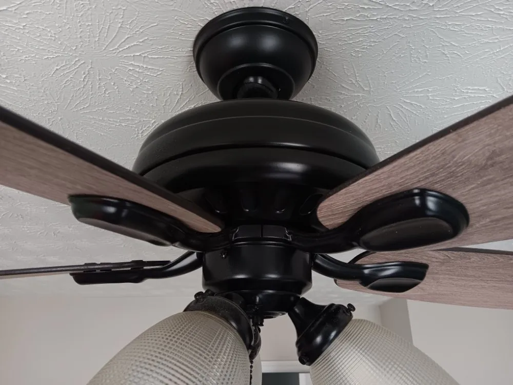 Slide of Healthy Home Services