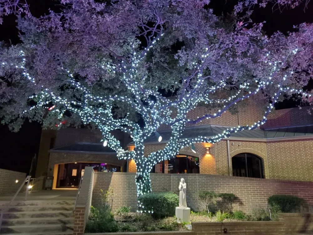 Slide of Heart Lighting & Electrical