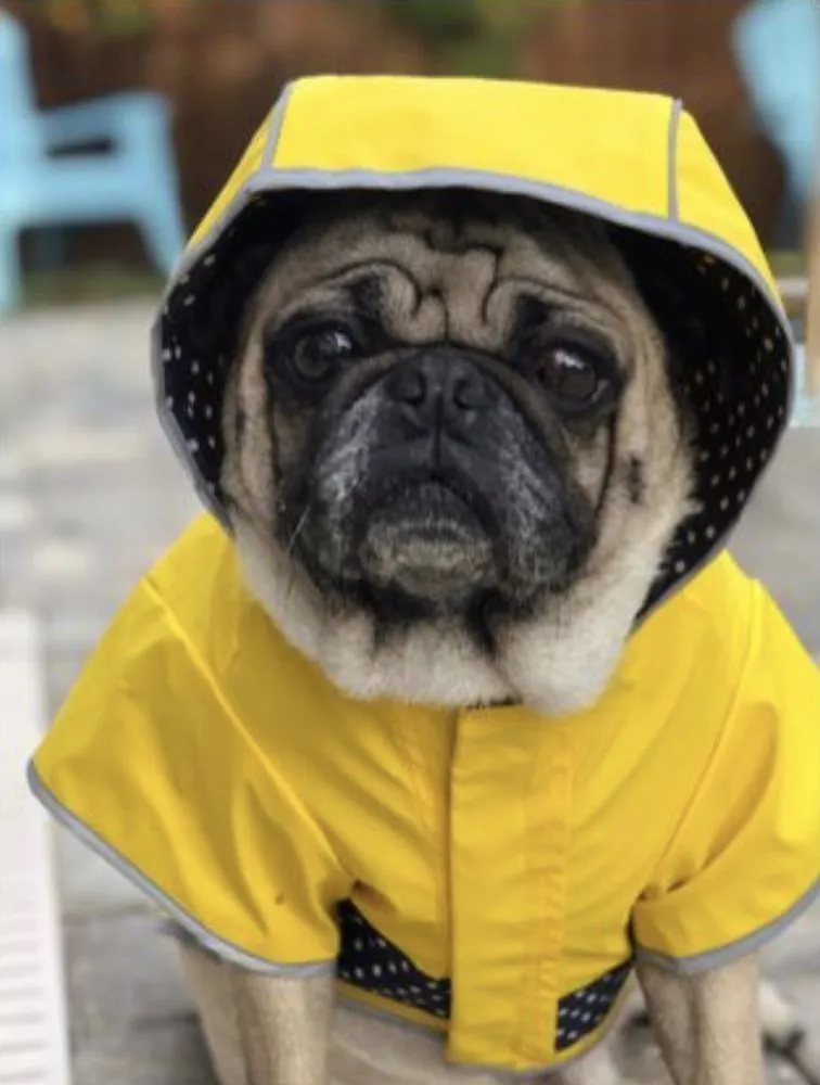 Slide of Heck Electric