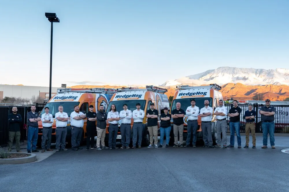 Slide of Hedgehog Electric & Solar