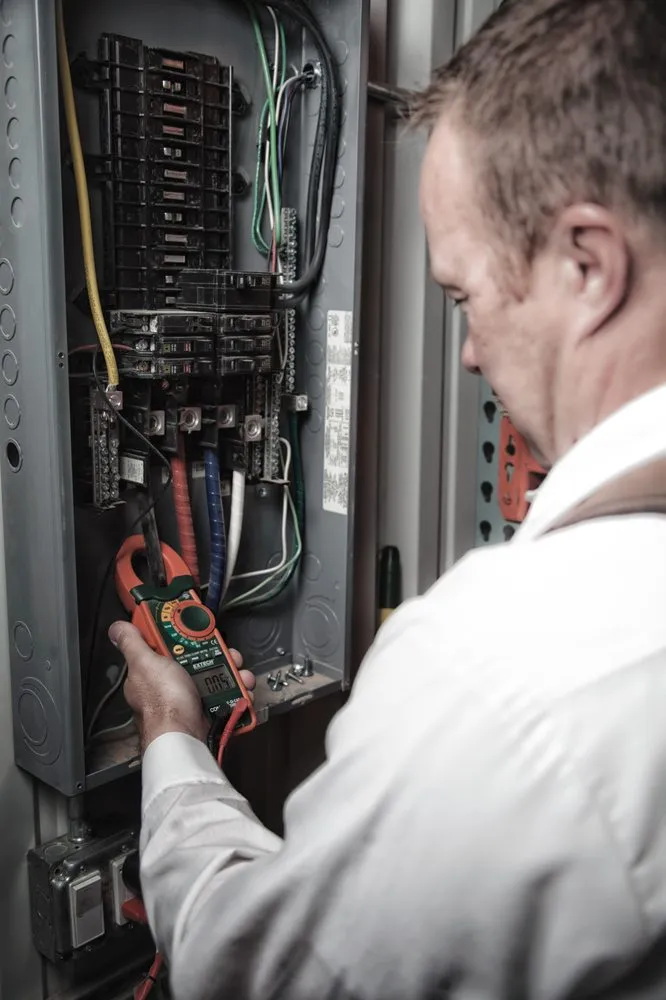 Slide of Hedgehog Electric & Solar