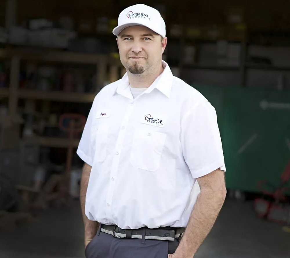 Slide of Hedgehog Electric