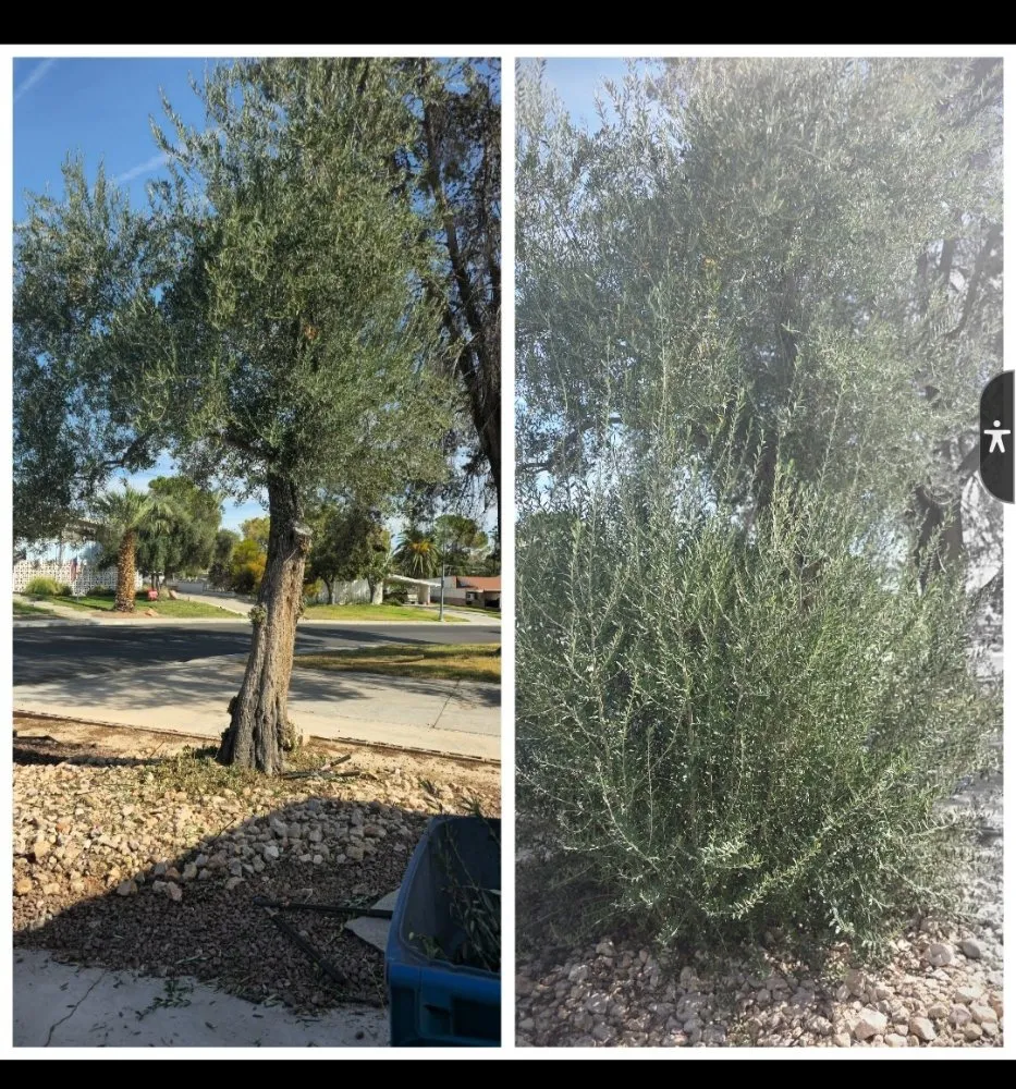 Slide of Heinj's Electrical & Handyman Services