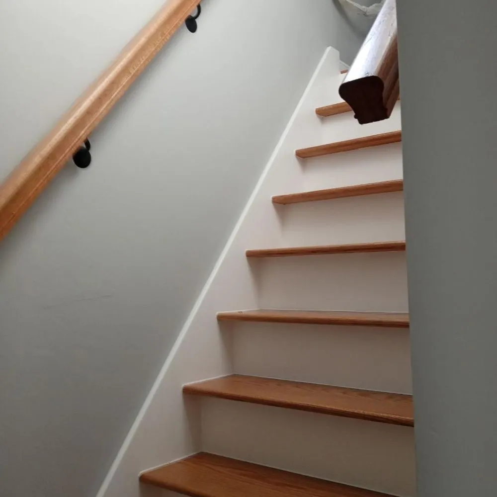 Slide of Hevia's Construction