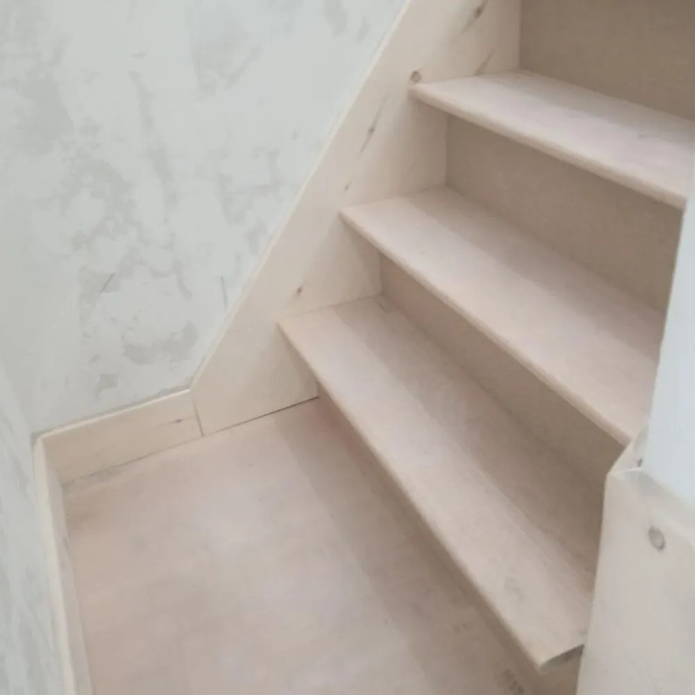 Slide of Hevia's Construction