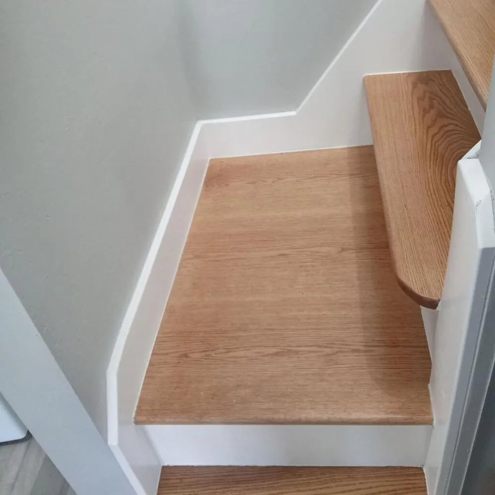 Slide of Hevia's Construction