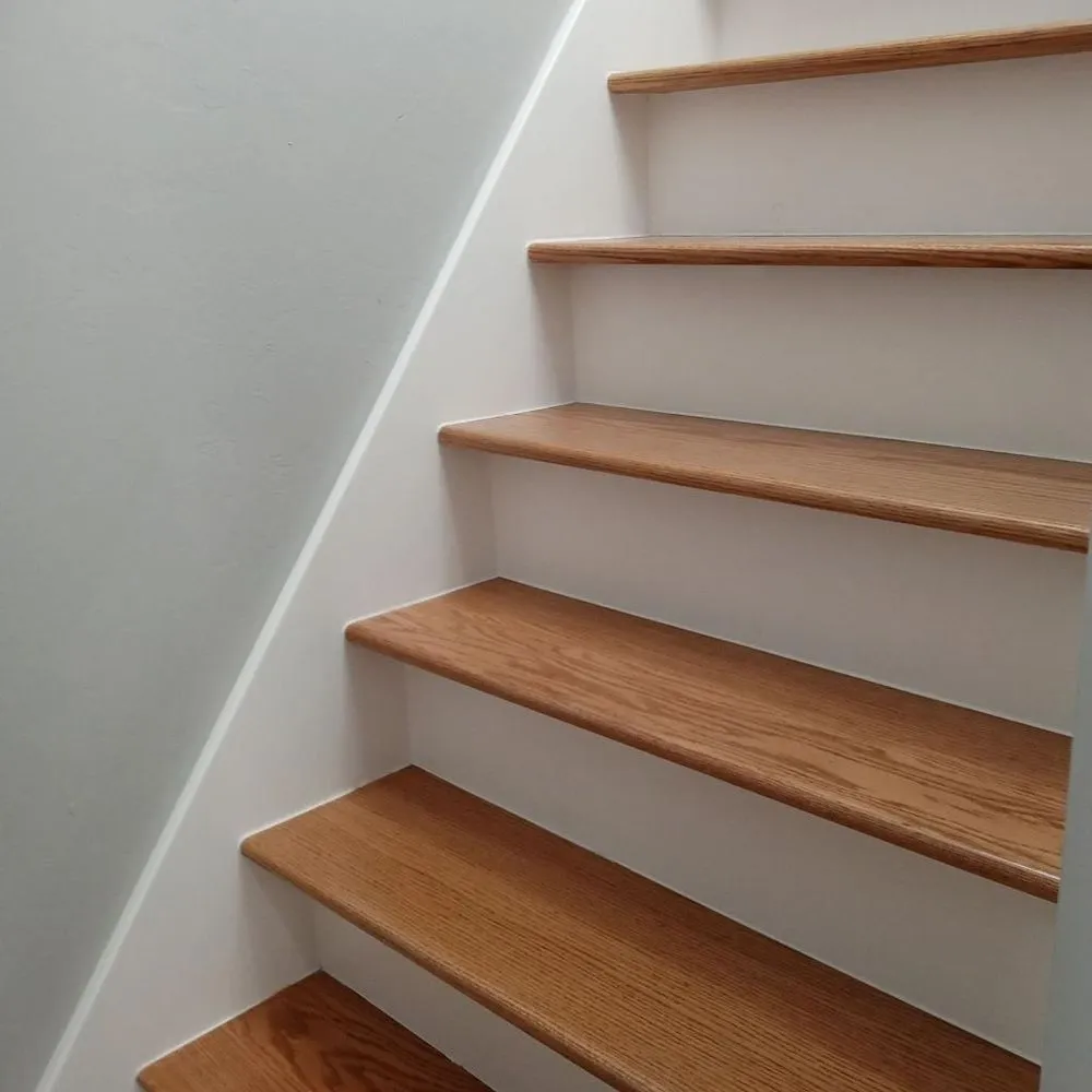 Slide of Hevia's Construction