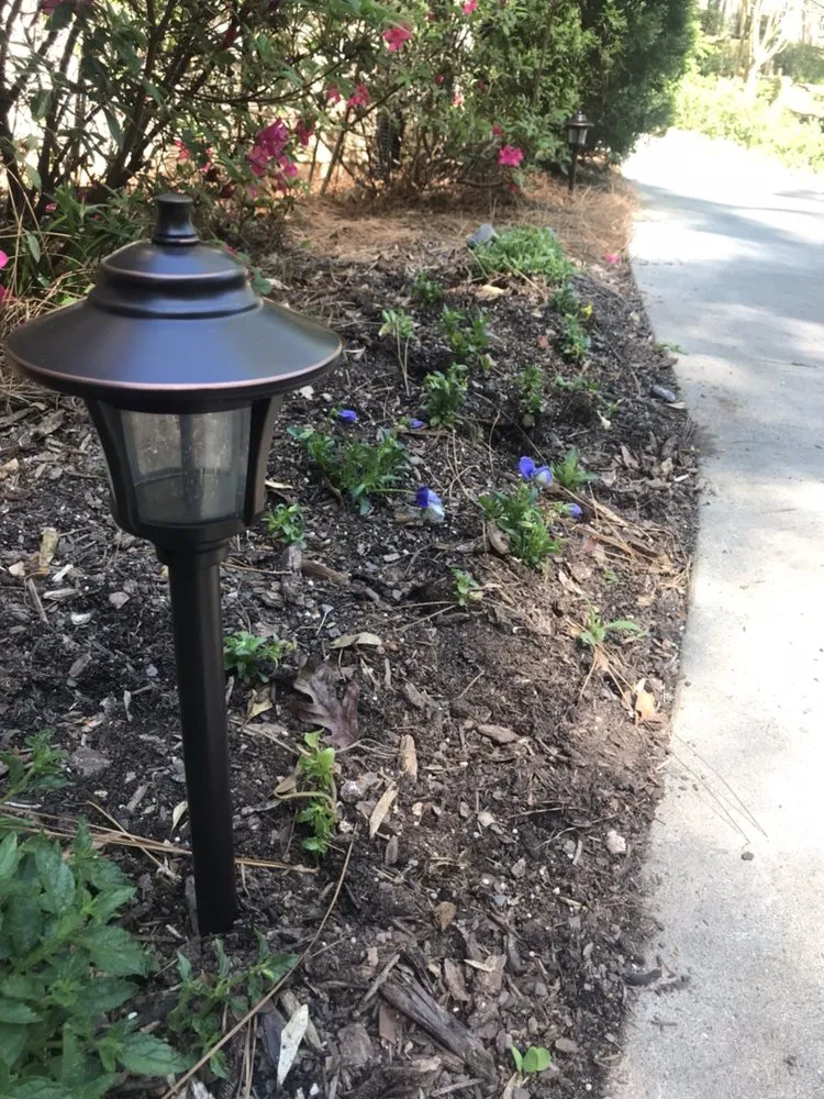 Slide of Hi Five Electric