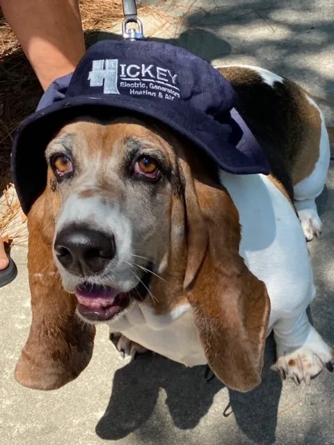 Slide of Hickey Plumbing, Air & Electrical