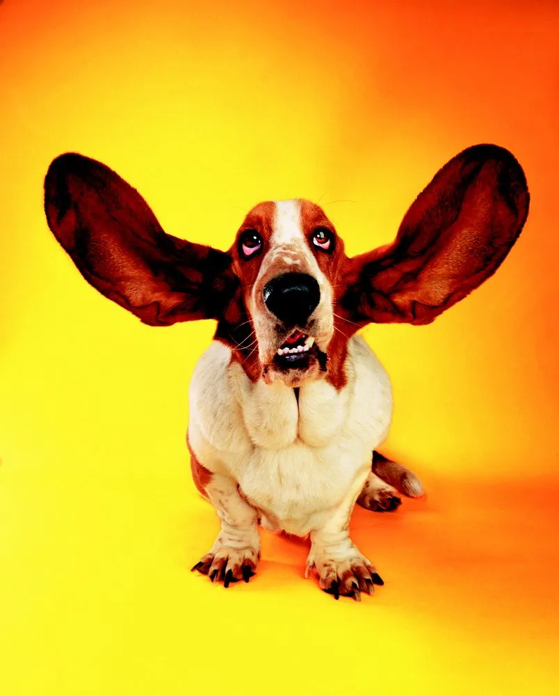 Slide of Hickey Plumbing, Air & Electrical