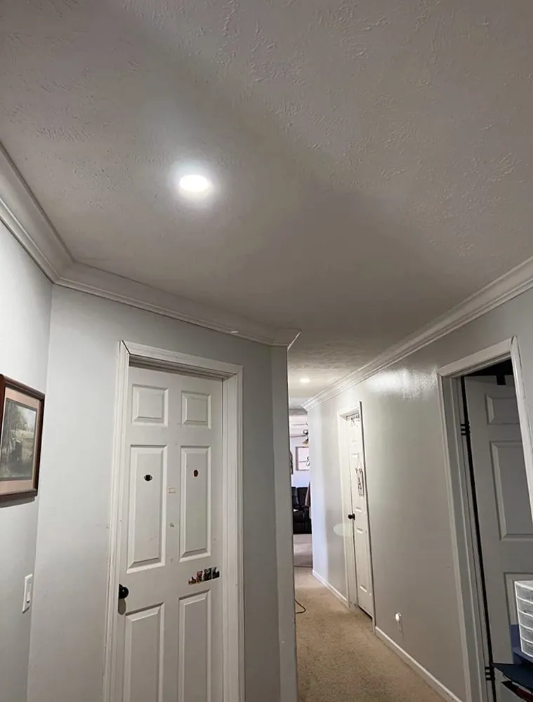 Slide of Hidden Green Leaves