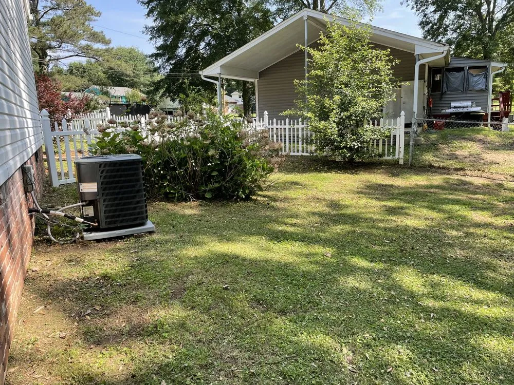 Slide of Hidden Green Leaves