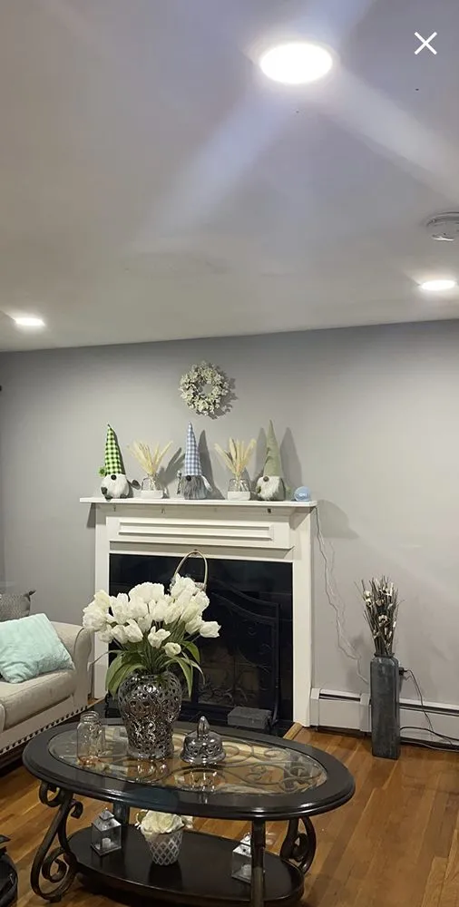 Slide of Hidden Green Leaves