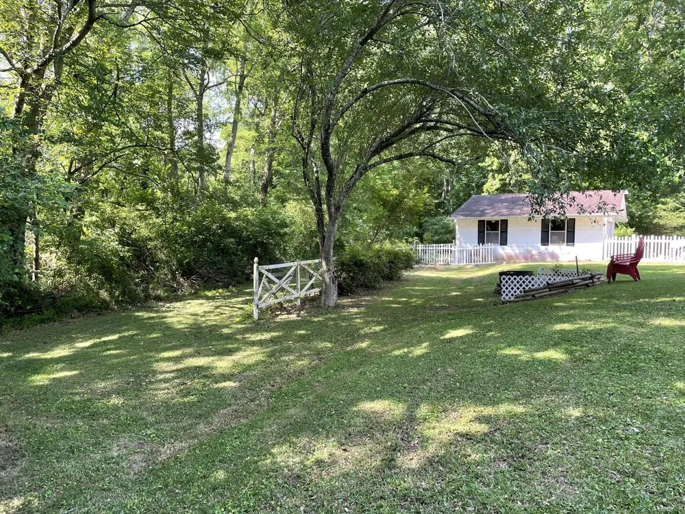 Slide of Hidden Green Leaves