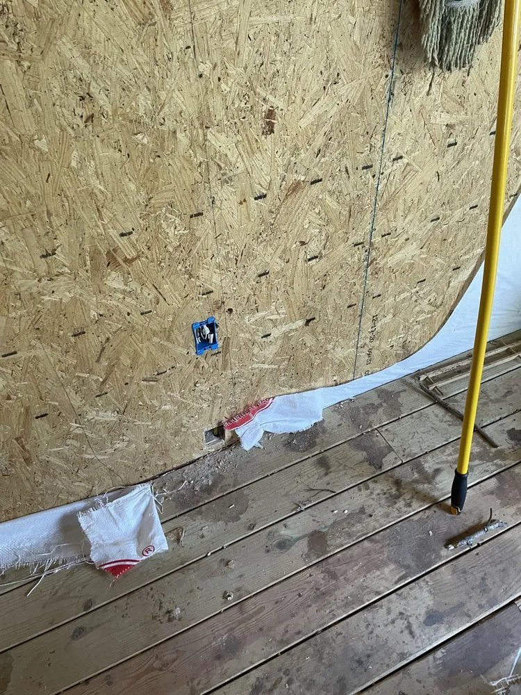 Slide of Hidden Green Leaves